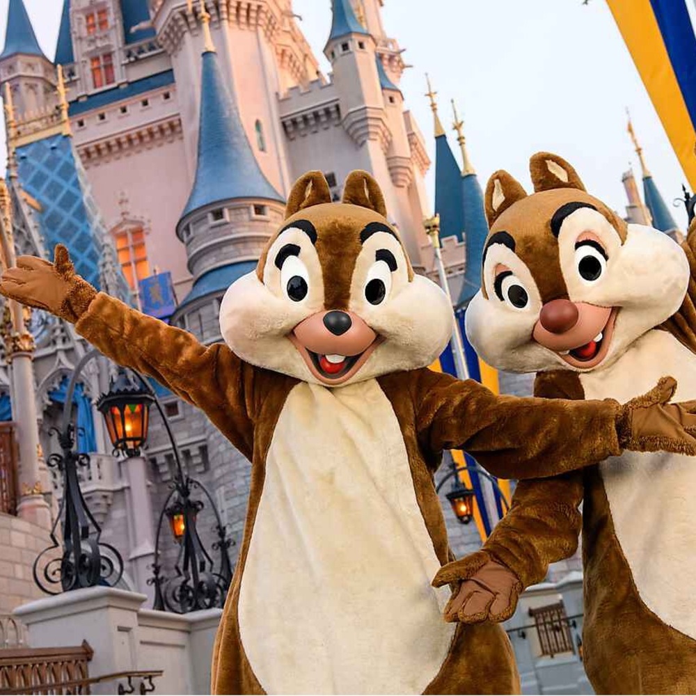 Meet your Posher, Chelsea